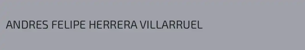 ANDRES FELIPE HERRERA VILLARRUEL